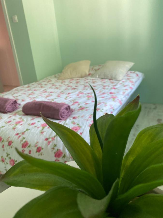 קובאריד Hisa Megiclinic - Apartments & Healing Center מראה חיצוני תמונה