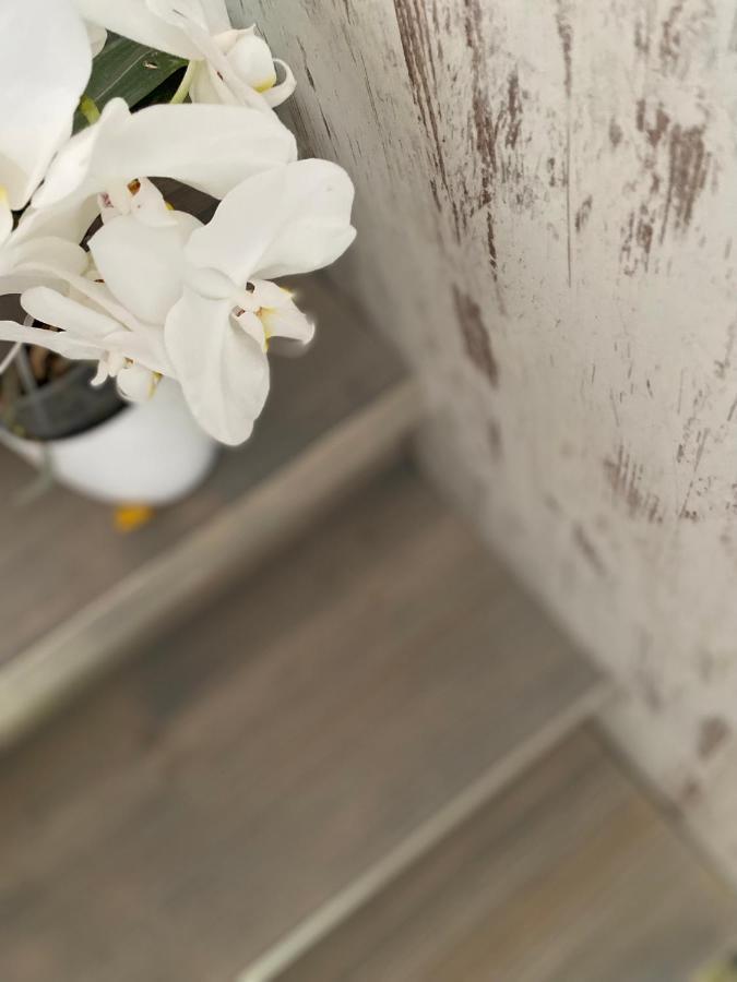 קובאריד Hisa Megiclinic - Apartments & Healing Center מראה חיצוני תמונה