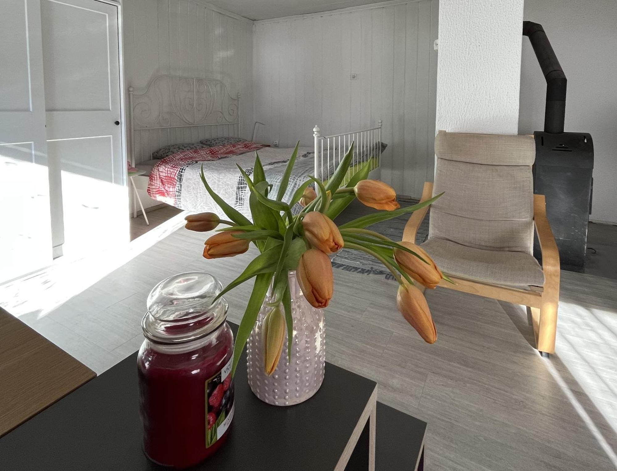 קובאריד Hisa Megiclinic - Apartments & Healing Center מראה חיצוני תמונה
